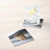 Cutest Baby Animals | Fluffy Orange Kitten スクエアペーパーコースター