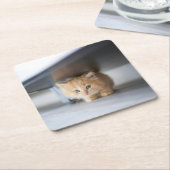 Cutest Baby Animals | Fluffy Orange Kitten スクエアペーパーコースター
