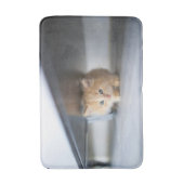 Cutest Baby Animals | Fluffy Orange Kitten バスマット (正面縦)