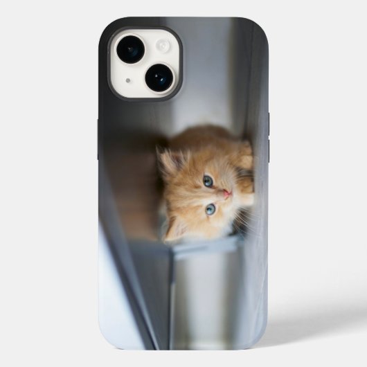 Cutest Baby Animals | Fluffy Orange Kitten Case-Mate iPhoneケース (裏面)