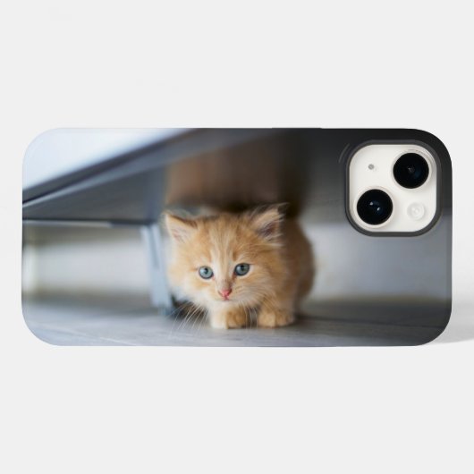 Cutest Baby Animals | Fluffy Orange Kitten Case-Mate iPhoneケース (裏面 (横))