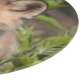 Cutest Baby Animals | Fox Kit カッティングボード (角)