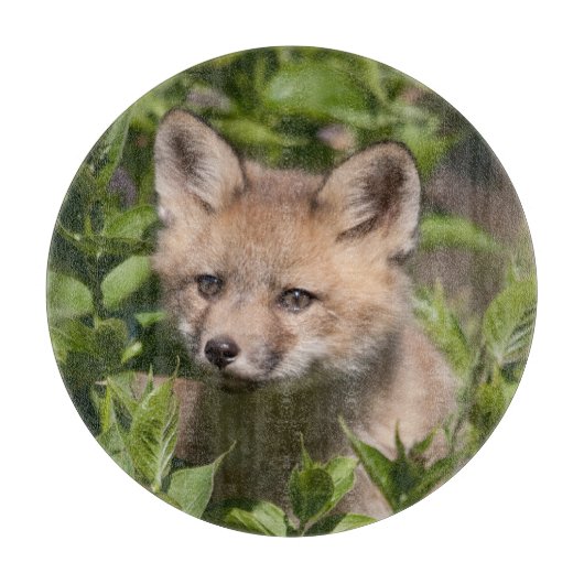 Cutest Baby Animals | Fox Kit カッティングボード (正面)