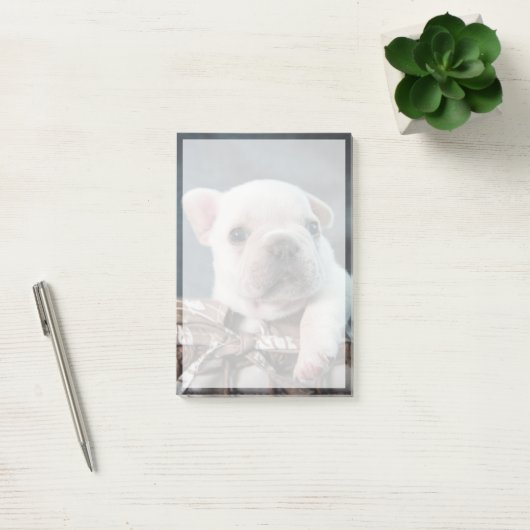Cutest Baby Animals | French Bulldog ポストイット (オフィス)