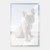 Cutest Baby Animals | French Bulldog Boating ポストイット (正面)