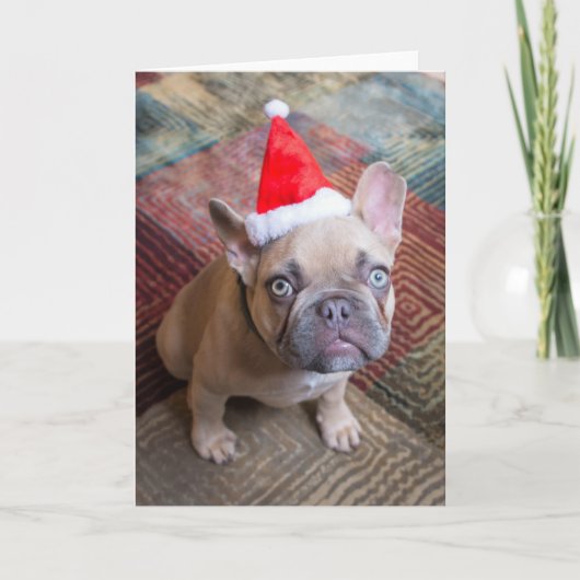 Cutest Baby Animals | French Bulldog Christmas カード (正面)