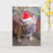 Cutest Baby Animals | French Bulldog Christmas カード (黄色い花)