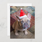 Cutest Baby Animals | French Bulldog Christmas ポストカード (正面/裏面)