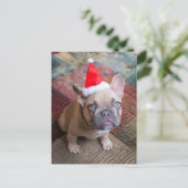 Cutest Baby Animals | French Bulldog Christmas ポストカード (スタンド正面)