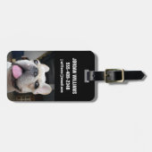 Cutest Baby Animals | French Bulldog Face ラゲッジタグ (正面横)