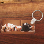 Cutest Baby Animals | French Bulldog Family キーホルダー (正面)