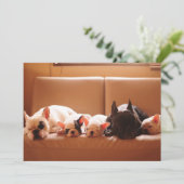 Cutest Baby Animals | French Bulldog Family サンキューカード (スタンド正面)