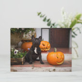 Cutest Baby Animals | French Bulldog Halloween サンキューカード (スタンド正面)