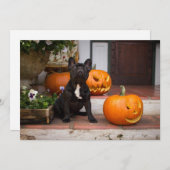Cutest Baby Animals | French Bulldog Halloween サンキューカード (正面/裏面)