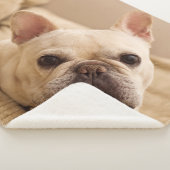 Cutest Baby Animals | French Bulldog Head Tilt シェルパブランケット (3/4)
