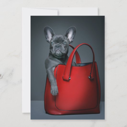 Cutest Baby Animals | French Bulldog in Handbag サンキューカード (正面)