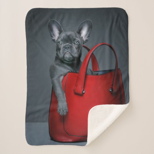 Cutest Baby Animals | French Bulldog in Handbag シェルパブランケット (正面)