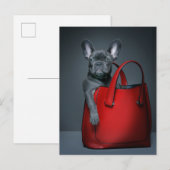 Cutest Baby Animals | French Bulldog in Handbag ポストカード (正面/裏面)