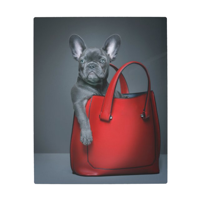 Cutest Baby Animals | French Bulldog in Handbag メタルプリント (正面)