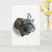 Cutest Baby Animals | French Bulldog Look Up カード (黄色い花)