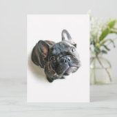 Cutest Baby Animals | French Bulldog Look Up サンキューカード (スタンド正面)