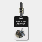 Cutest Baby Animals | French Bulldog Look Up ラゲッジタグ (正面縦)