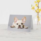 Cutest Baby Animals | French Bulldog Lying Down カード (黄色い花)