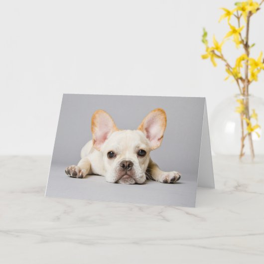 Cutest Baby Animals | French Bulldog Lying Down カード (黄色い花)