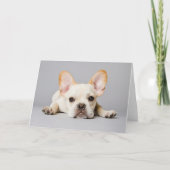 Cutest Baby Animals | French Bulldog Lying Down カード (正面)