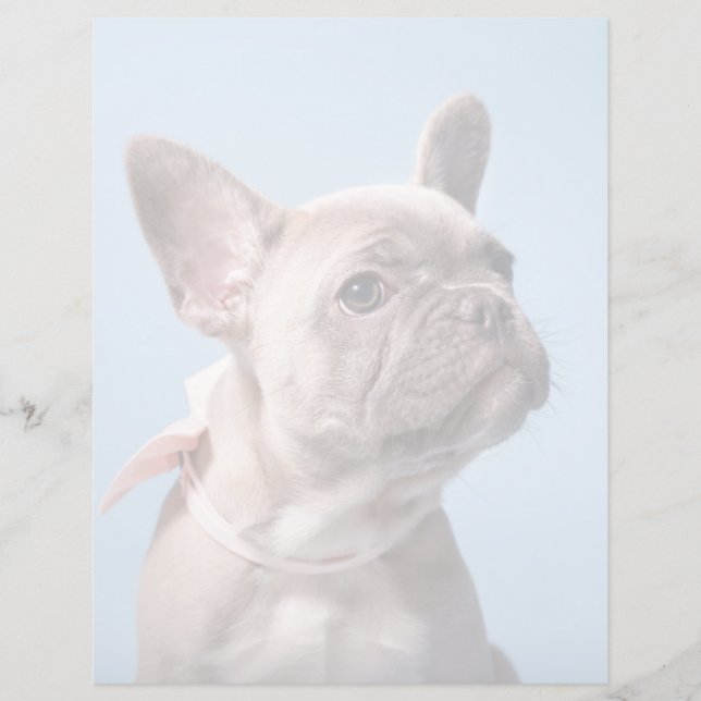 Cutest Baby Animals | French Bulldog Pink Bow (正面)