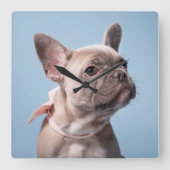 Cutest Baby Animals | French Bulldog Pink Bow スクエア壁時計 (正面)