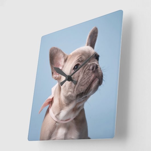 Cutest Baby Animals | French Bulldog Pink Bow スクエア壁時計 (傾斜)