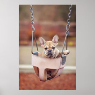 Cutest Baby Animals French Bulldog Playground ポスター