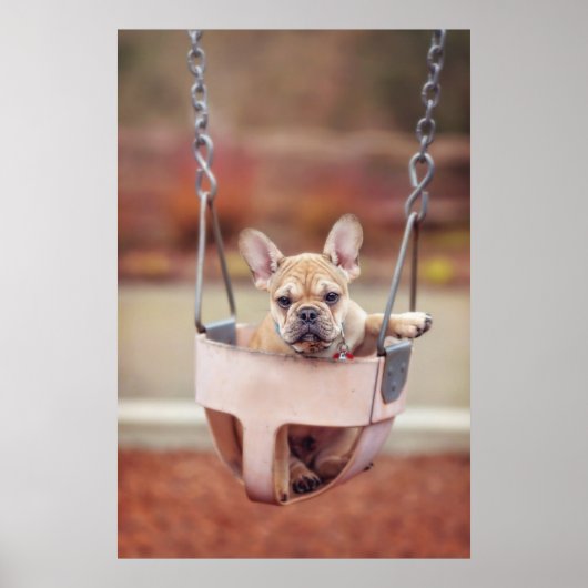 Cutest Baby Animals | French Bulldog Playground ポスター (正面)