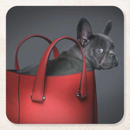Cutest Baby Animals | French Bulldog Red Hand Bag スクエアペーパーコースター (正面)