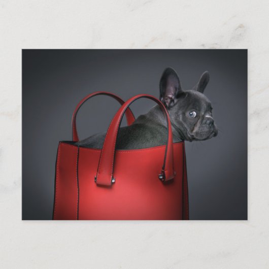 Cutest Baby Animals | French Bulldog Red Hand Bag ポストカード (正面)