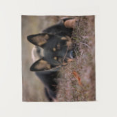 Cutest Baby Animals | German Shepherd Puppy タペストリー (正面)