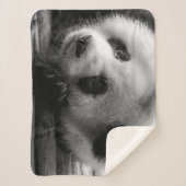 Cutest Baby Animals | Giant Panda Bear Cub シェルパブランケット (正面)