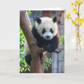 Cutest Baby Animals | Giant Panda Cub カード (黄色い花)