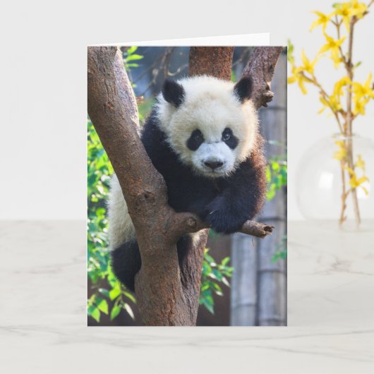 Cutest Baby Animals | Giant Panda Cub カード (黄色い花)