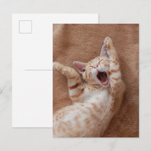 Cutest Baby Animals | Ginger Kitten Yawning ポストカード (正面/裏面)