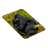 Cutest Baby Animals | Gorilla & Baby マグネット (右側)