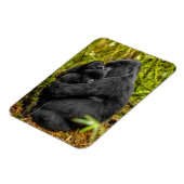 Cutest Baby Animals | Gorilla & Baby マグネット (左側)