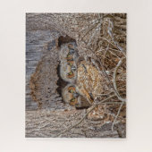 Cutest Baby Animals | Great Horned Chicks ジグソーパズル (縦)