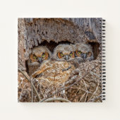 Cutest Baby Animals | Great Horned Chicks ノートブック (裏面)