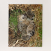 Cutest Baby Animals | Hedgehog Family ジグソーパズル (縦)