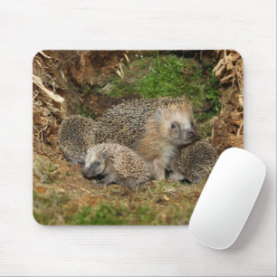 Cutest Baby Animals Hedgehog Family マウスパッド