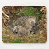 Cutest Baby Animals | Hedgehog Family マウスパッド (正面)