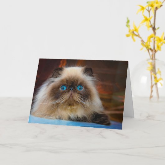 Cutest Baby Animals | Himalayan Cat カード (黄色い花)