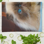 Cutest Baby Animals | Himalayan Cat キッチンタオル (折り畳み)